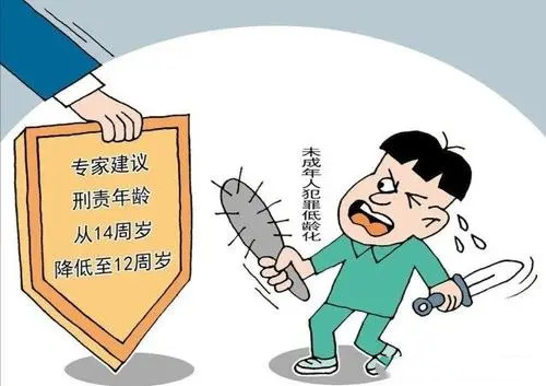 教育部：我国违法犯罪低龄化的现象已引起相关部门的高度重视