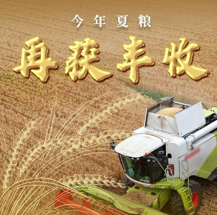 今年夏粮再获丰收 预计单产提高3公斤，产量再创新高