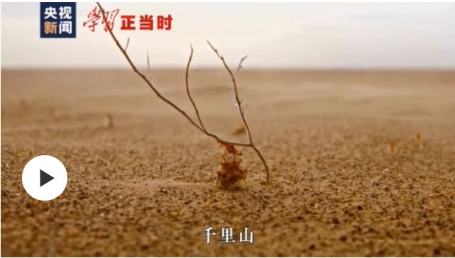 我们的小康梦丨绿色梦就是小康梦