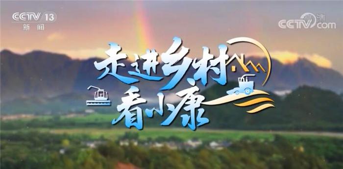 走进乡村看小康 | 古村新貌创新路 多元发展奔小康