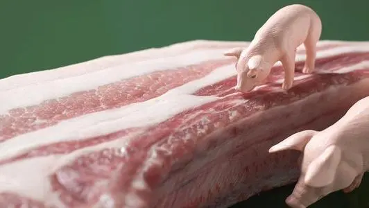 粮食、猪肉、大宗商品如何保供稳价——发改委回应经济运行热点