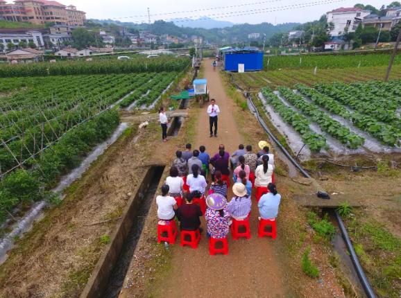 昆明共青团为大学生打造田间课堂直通车