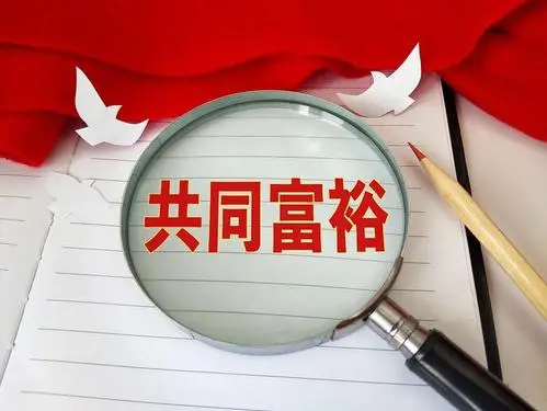 实现共同富裕不只是政府的事