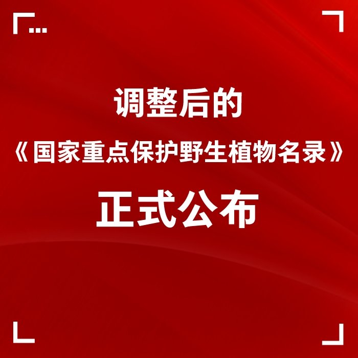调整后的《国家重点保护野生植物名录》正式公布