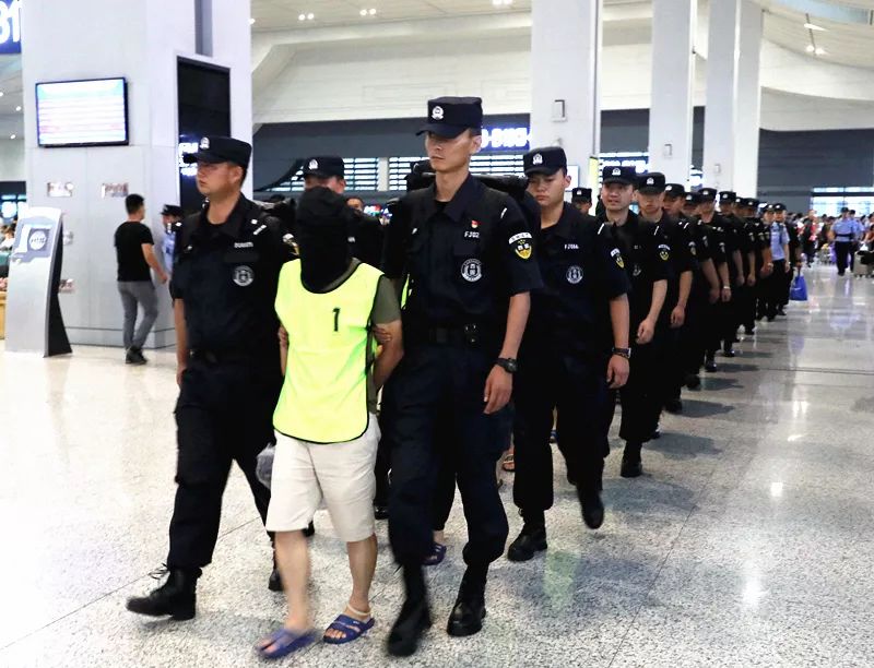 全国电信网络诈骗犯罪发案连续3个月同比下降