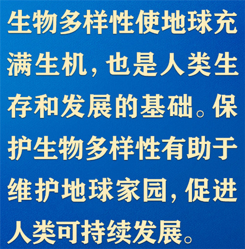 共同构建地球生命共同体，习近平提出“中国方案”
