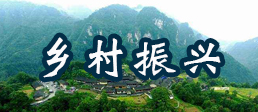 今年以来，习近平这样强调乡村振兴