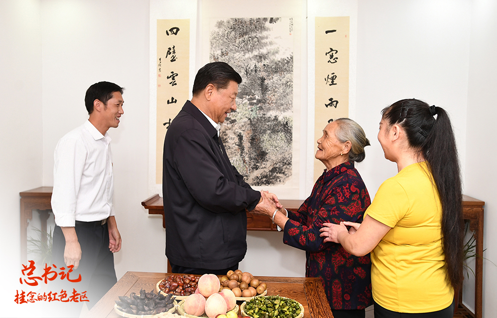 总书记挂念的红色老区丨大别山区的“网红打卡地”