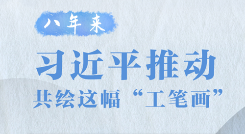 八年来，习近平推动共绘这幅“工笔画”