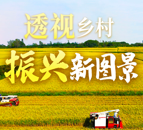 透视乡村振兴新图景