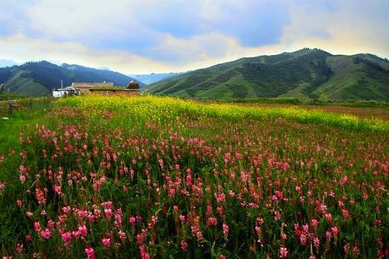 “最穷村”蝶变“最富村” 乌鲁木齐南山脚下兴起乡村旅游热