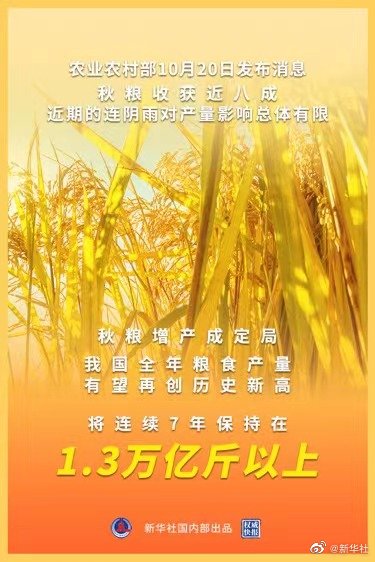权威快报丨农业农村部：秋粮增产已成定局