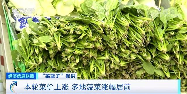 菜比肉贵？全国菜价连涨，一周均价涨近30%！这一波涨价，啥情况？