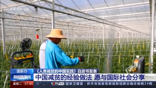 文化减贫呼唤多元主体的共同实践