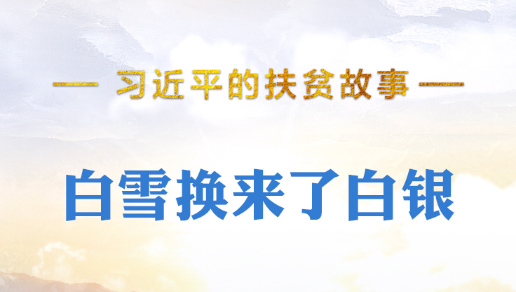 习近平的扶贫故事丨白雪换来了白银