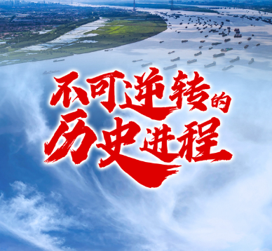 不可逆转的历史进程——从以习近平同志为核心的党中央引领新时代变革性实践看实现中华民族伟大复兴