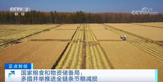 中办国办印发《粮食节约行动方案》 推动粮食全产业链各环节节约减损取得实效