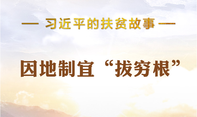 习近平的扶贫故事丨因地制宜“拔穷根”