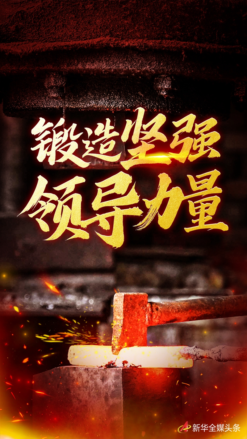 六中全会精神在基层｜锻造坚强领导力量——各地学习贯彻落实六中全会精神深入推进全面从严治党观察