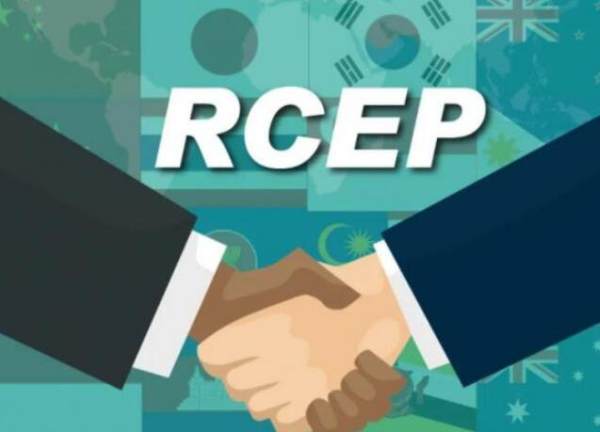 RCEP即将正式生效，相关准备进展如何？将带来哪些影响？
