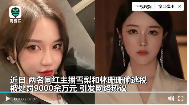 雪梨、林珊珊偷逃税被罚近亿元 商务部回应直播电商规范问题