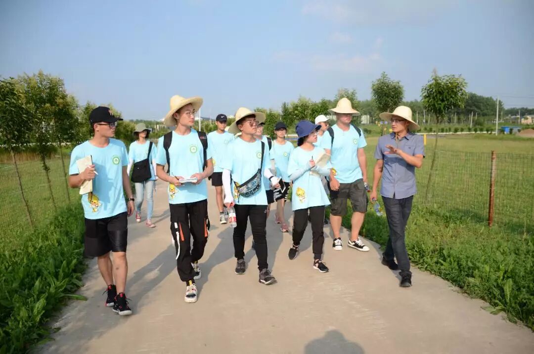 用火热的青春投身乡村振兴伟大事业——共青团实施乡村振兴青春建功行动工作综述