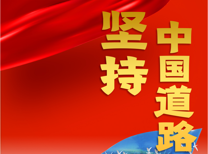 跟着总书记领悟党的宝贵经验——坚持中国道路