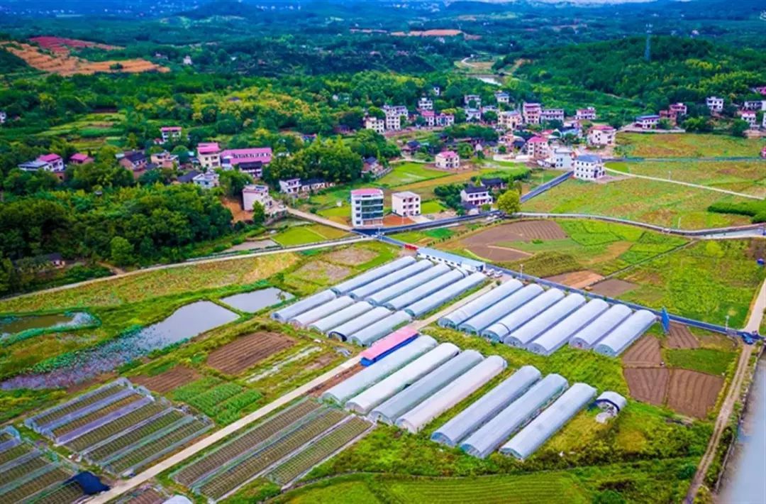 河南多措并举推动乡村振兴——延续好政策 帮扶不减弱