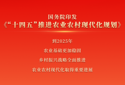 乡村振兴，未来可期——聚焦《“十四五”推进农业农村现代化规划》新举措