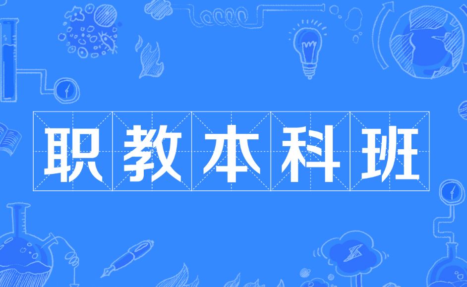 教育部：职业本科与普通本科在证书效用方面价值等同