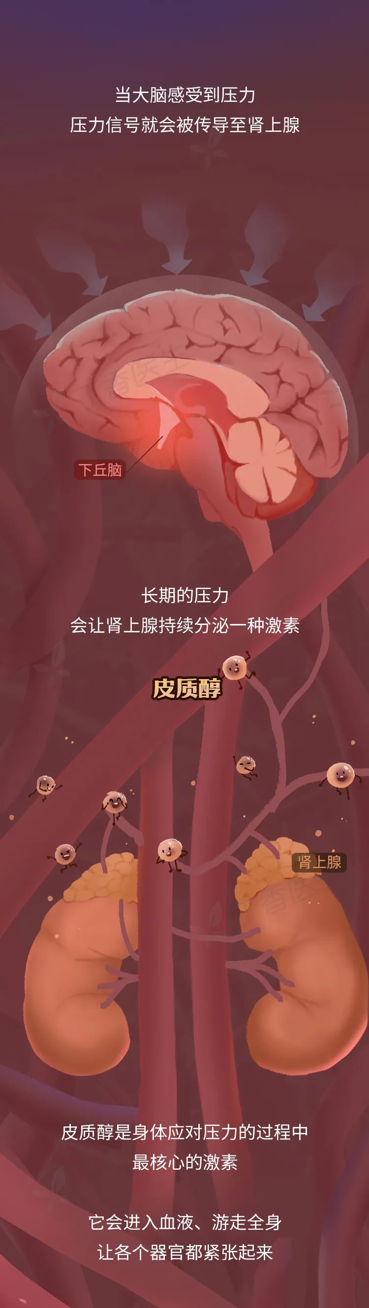 工作使人胖，越努力越容易胖