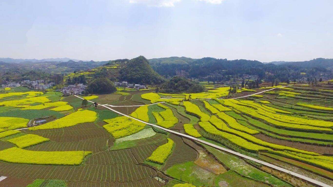 探索基层社会治理数字化新模式