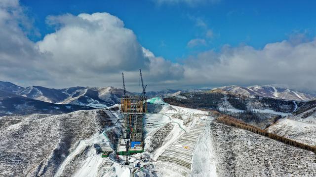 “雪如意”成长记