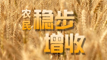 图说：稳步增收！中央一号文件为农民送来“定心丸”