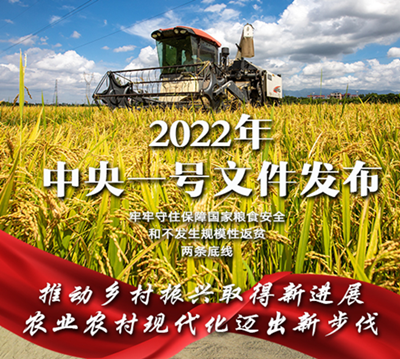 一图速览2022年中央一号文件