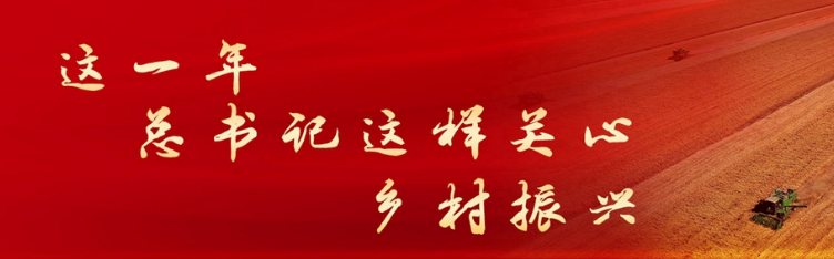 这一年，总书记这样关心乡村振兴