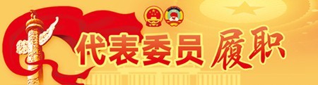 全国人大代表李莉：一根拐杖“跑出”近50万字建议和议案