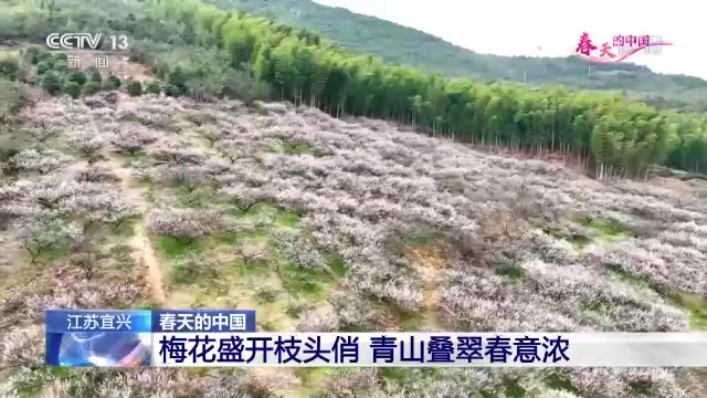 微风吹绿丹峡岸 航拍镜头带你看春天里的中国
