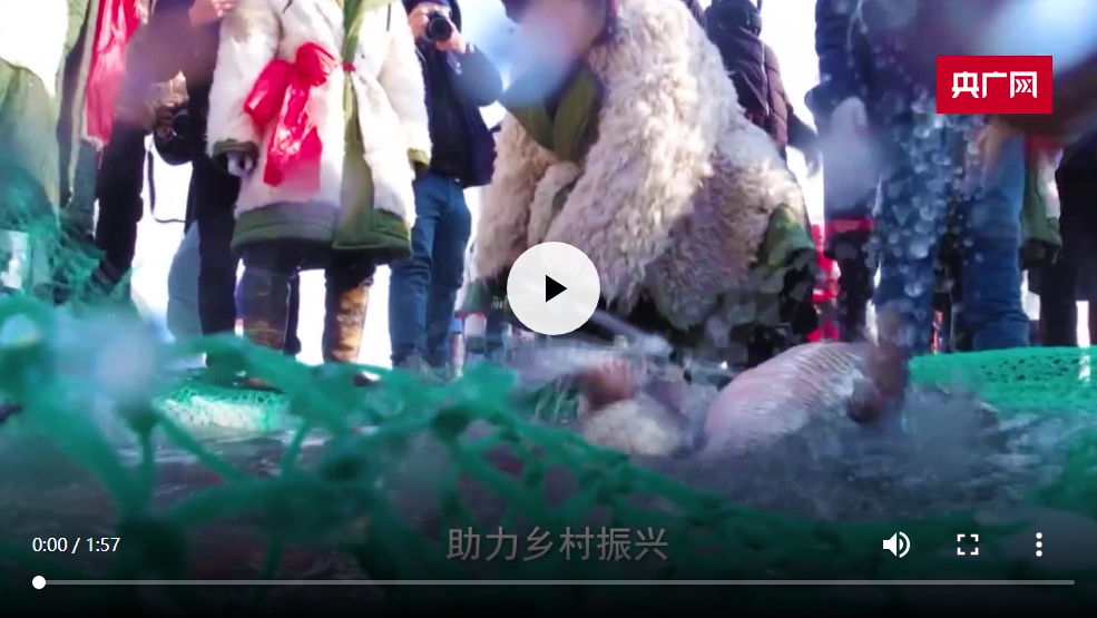 冬奥之火点亮中国 从冬到春热“雪”沸腾