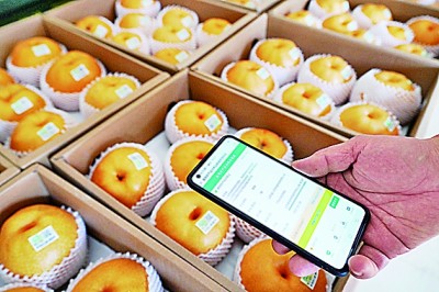 打造餐桌上的“科技安全阀”