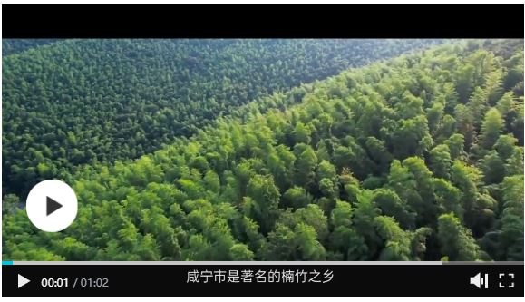 90后把楠竹玩出“七十二变” 竹制品利润翻了数十倍