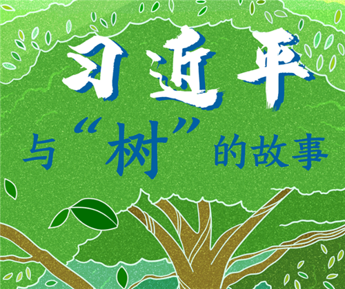 习近平与“树”的故事