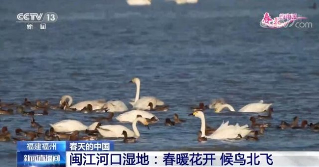 春天的中国生机盎然 祖国多地呈现出绝美的春日景象