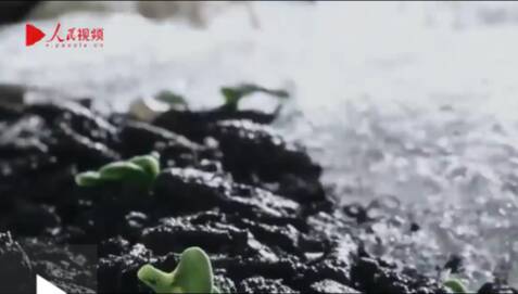 踔厉奋发新时代 笃行不怠向未来