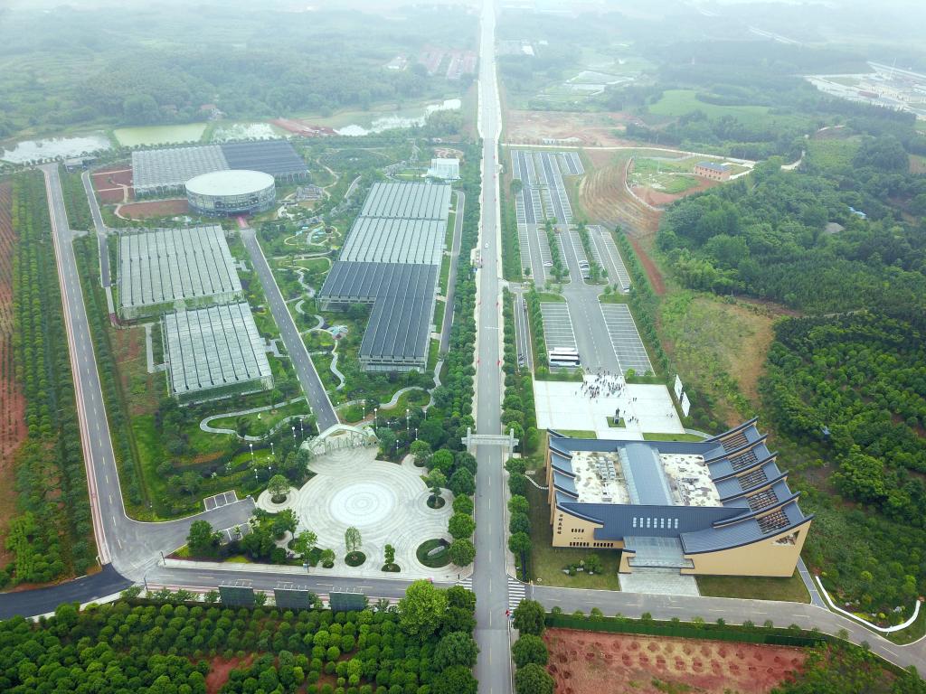 奋进新征程 建功新时代·伟大变革丨“官桥八组”的三次转型