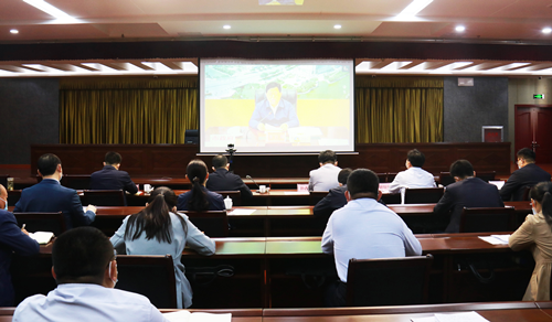 全市疫情防控工作视频调度会议召开  全力保障人民群众生命安全和经济社会平稳健康发展  东昌府区设分会场收听收看并召开续会