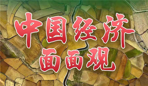 中国经济面面观