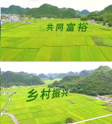中国扶贫志愿服务促进会：为乡村振兴和共同富裕贡献智慧力量