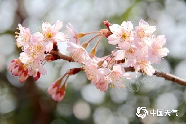 节后首日我国大部晴朗升温 冷空气“穿插”影响华北东北