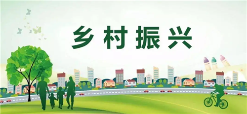 全面推进乡村振兴，各地这样干